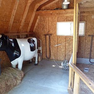 Farmyard - Cow Milking Demonstration Area