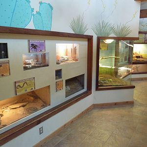 Wild Habitats Building (44 Species) - Reptile House