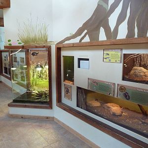 Wild Habitats Building (44 Species) - Reptile House