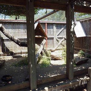 North American Porcupine Exhibit