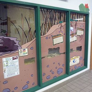 Entrance Building - Naked Mole Rat Exhibit