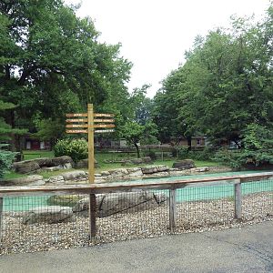 African Penguin Exhibit