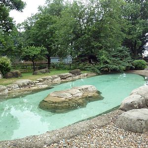African Penguin Exhibit