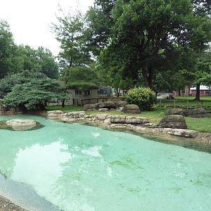 African Penguin Exhibit