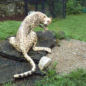 Cheetah Statue
