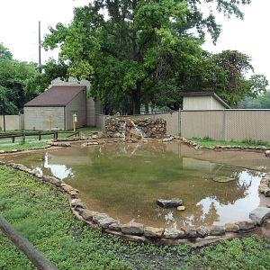 Aussie Walk-Through Yard (Wallaroo + Magpie Goose)