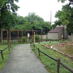 Aussie Walk-Through Yard (Wallaroo + Magpie Goose)