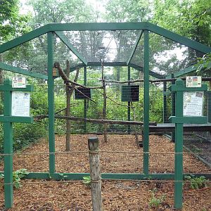 Bolivian Grey Titi Monkey/Two-Toed Sloth Exhibit