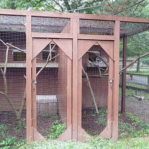 Rotational Lemur Exhibit