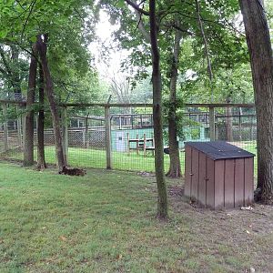 Reeve's Muntjac Exhibit (foreground) + Asiatic Black Bear Exhibit (backgrou