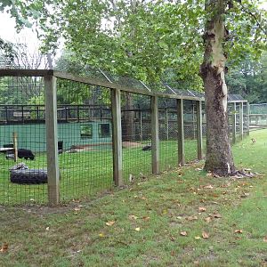Reeve's Muntjac Exhibit (foreground) + Asiatic Black Bear Exhibit (backgrou