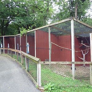 Bird of Prey Aviaries