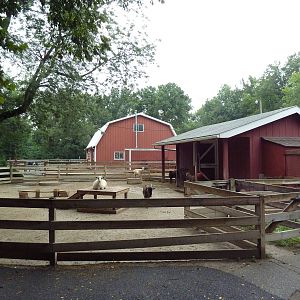 Farmyard