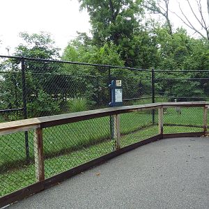 Sandhill Crane Exhibit