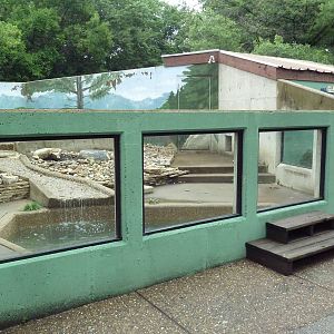 North American River Otter Exhibit