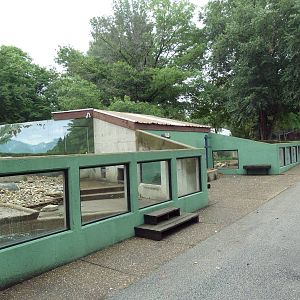 North American River Otter Exhibit
