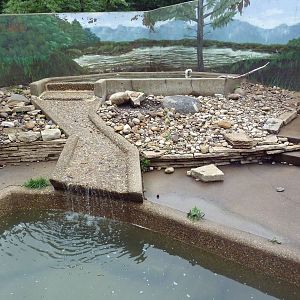 North American River Otter Exhibit