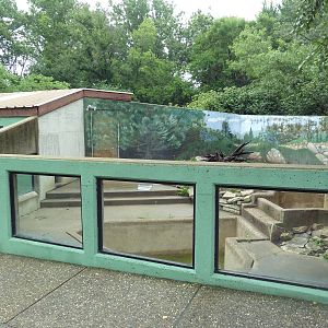 North American River Otter Exhibit