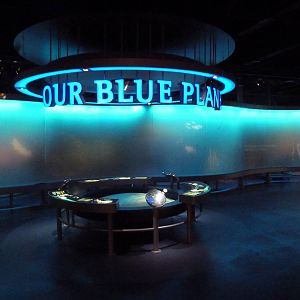 Lower Level Displays - Wall of Water Exhibit