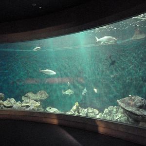 Rivers to the Sea Exhibit