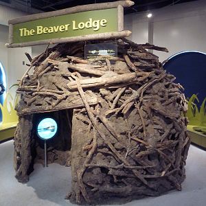 RiverWorks! - Interactive Children's Zone