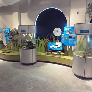 RiverWorks! - Interactive Children's Zone