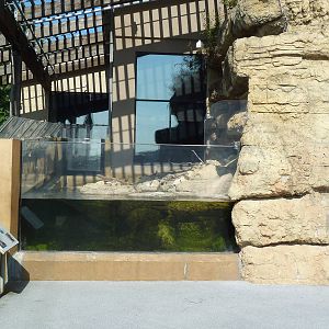 North American River Otter Exhibit