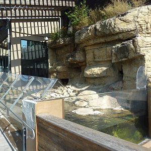 North American River Otter Exhibit