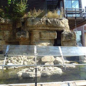 North American River Otter Exhibit