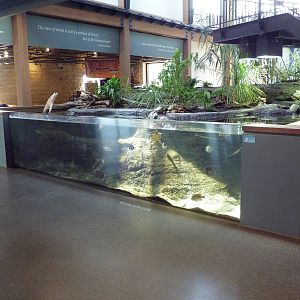 Backwater Marsh Exhibit
