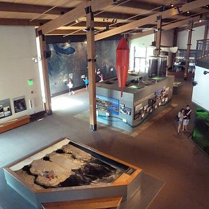 Lower Level - Overhead Shot