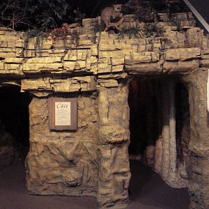 River Museum - Mark Twain's Cave