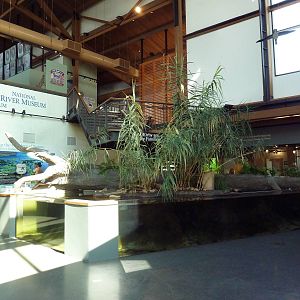 Backwater Marsh Exhibit