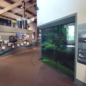 Main Channel Tank: Prowlers of the Deep