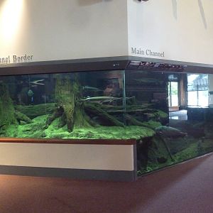 Main Channel Tank: Prowlers of the Deep