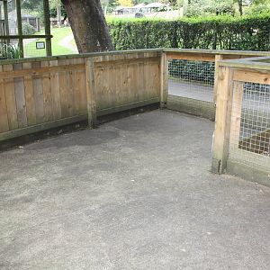 The African Farm cleaned in preparation for kebab making, 23rd August 2014