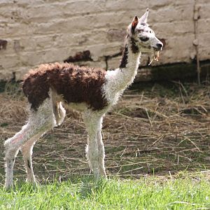 Perfect timing for the Bank Holiday, 24th August 2014