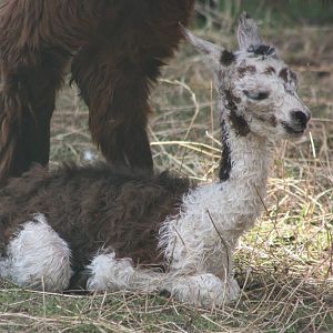 Time for a rest, 24th August 2014