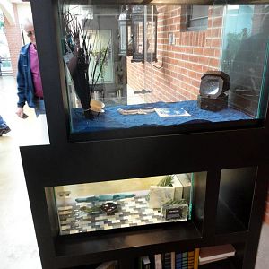 Reptile House 2012 - Bookshelf Exhibits