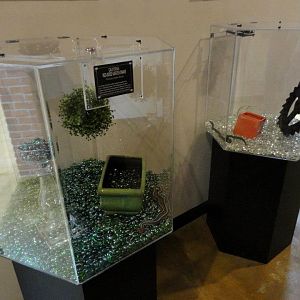 Reptile House 2012 - Snake Enclosures