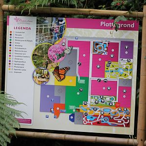 Plan Orchidee?n Hoeve