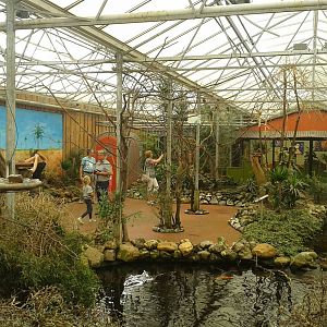 Lory free-flight enclosure