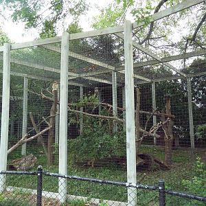North American Porcupine/Red-Tailed Hawk Exhibit