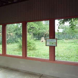 Red Wolf Exhibit