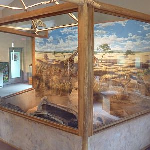 ZooLab Building - Meerkat Exhibit