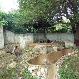 North American River Otter Exhibit
