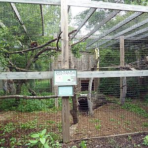 Red Panda Exhibit