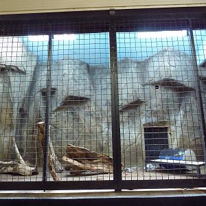 1914 Koetthoefer Animal Building - Sun Bear Indoor Exhibit