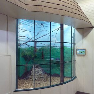 1914 Koetthoefer Animal Building - Green Woodhoopoe Exhibit