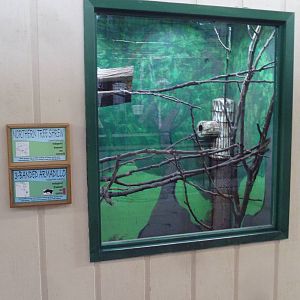 1914 Koetthoefer Animal Building - Armadillo/Tree Shrew Exhibit